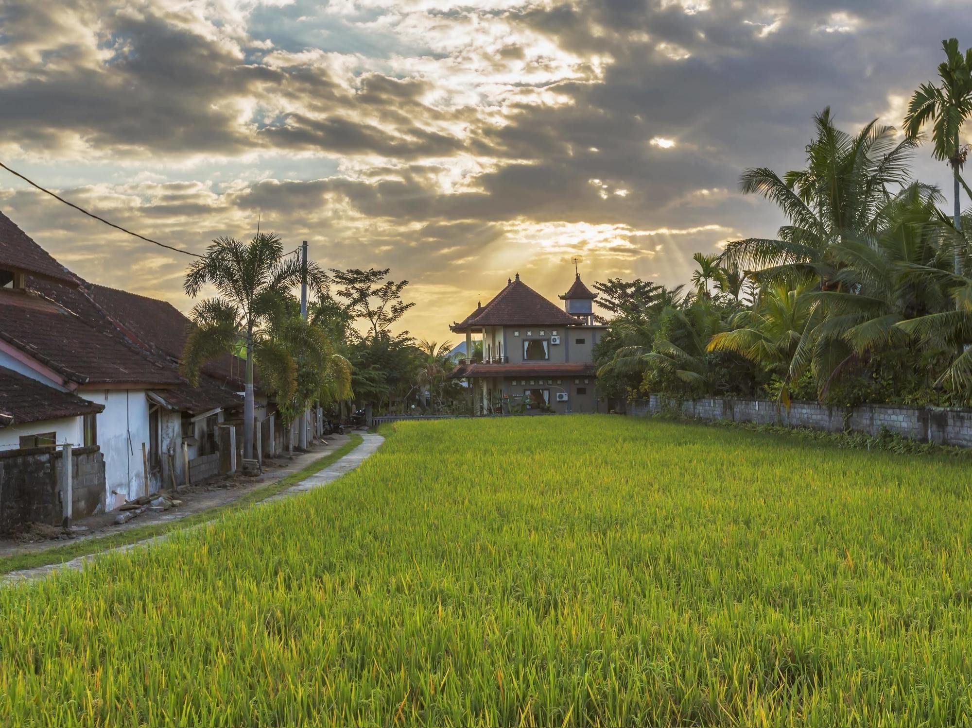 Abipraya Ubud Exterior foto